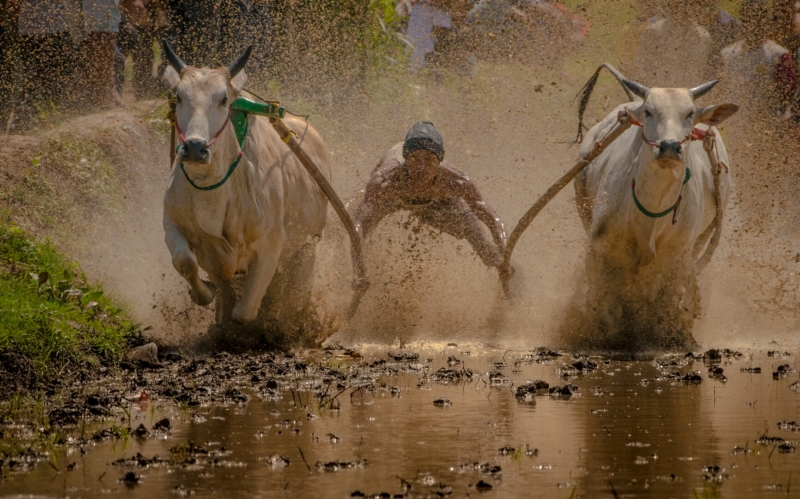 Merit For Going For The Finish By John North