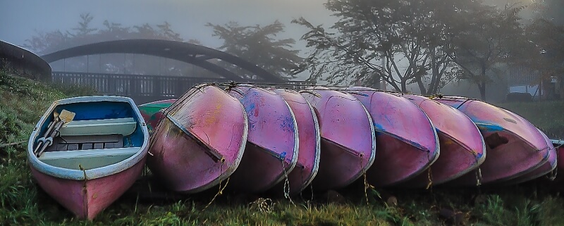 Merit For Boats In Pink By Lekha Suraweera