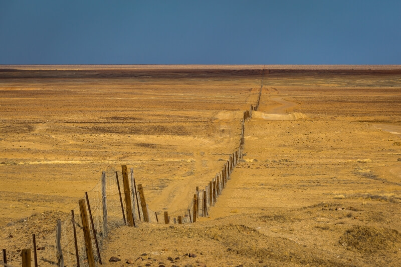 Merit For Long Dingo Fence By Theo Haaima