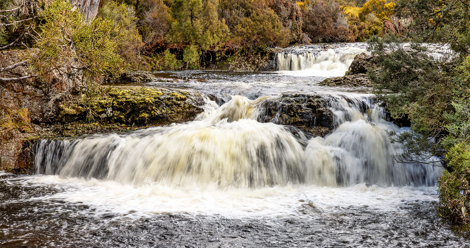 Merit For Print A79 Pencil Pines Falls Jpeg By Rosslyn Garnett
