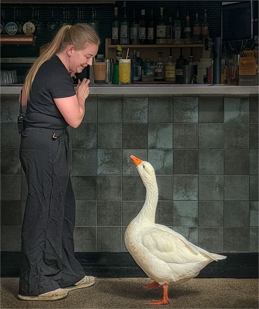 Merit For Print Demanding Service By Paul MacKay