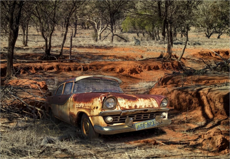 Merit For Old Holden In The Aussie Bush By Clive Hammond