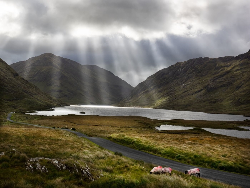 Merit For In The Footsteps Of Famine   Doo Lough  Ireland By Paul MacKay