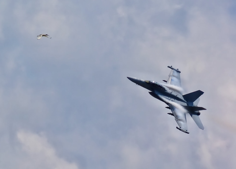 Merit For Photo Bombing A Fighter Jet By Robert Macfarlane