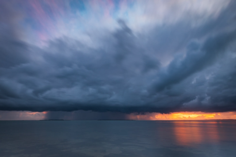 Merit For Rain Cell By Bruce McDonald