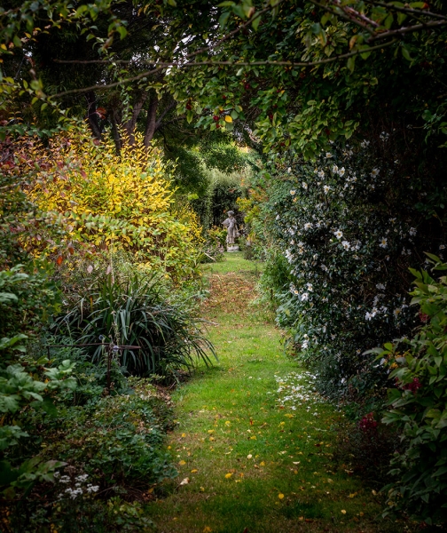 Merit For Up The Garden Path By Priscilla Gibbs