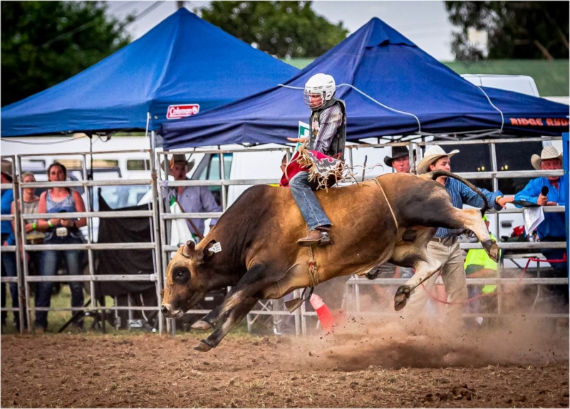 Merit For Only 8 Seconds To Go By Wayne Lewis