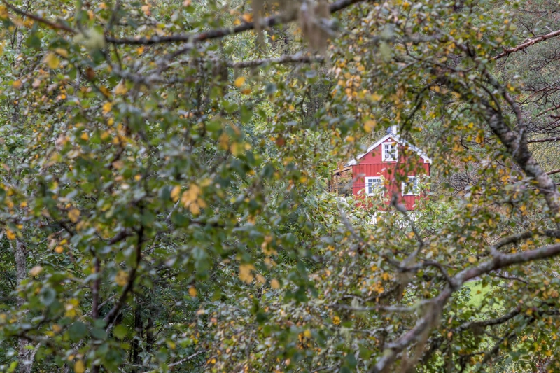 Honour For Digital Isolated Cottage By Kevin Dixon