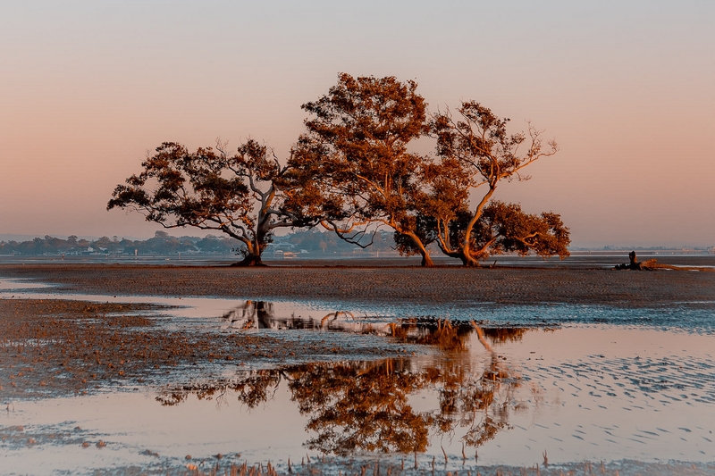 Merit For Digital SunRiseatNudgee By Sharon Puata Puata