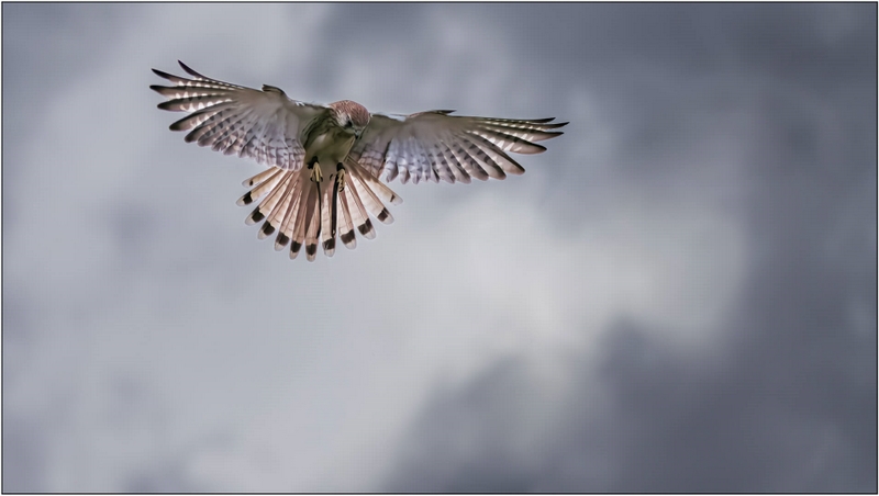 Merit For Digital Threatening Skies By Chris Seen