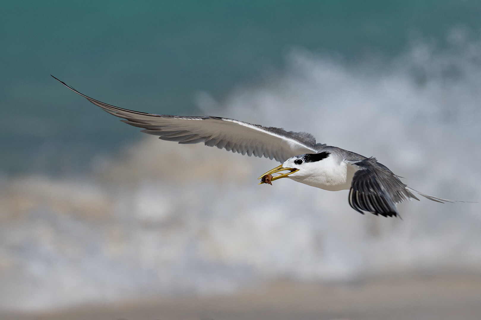 Honour For Digital Master Fisherman By Jefferey Mott