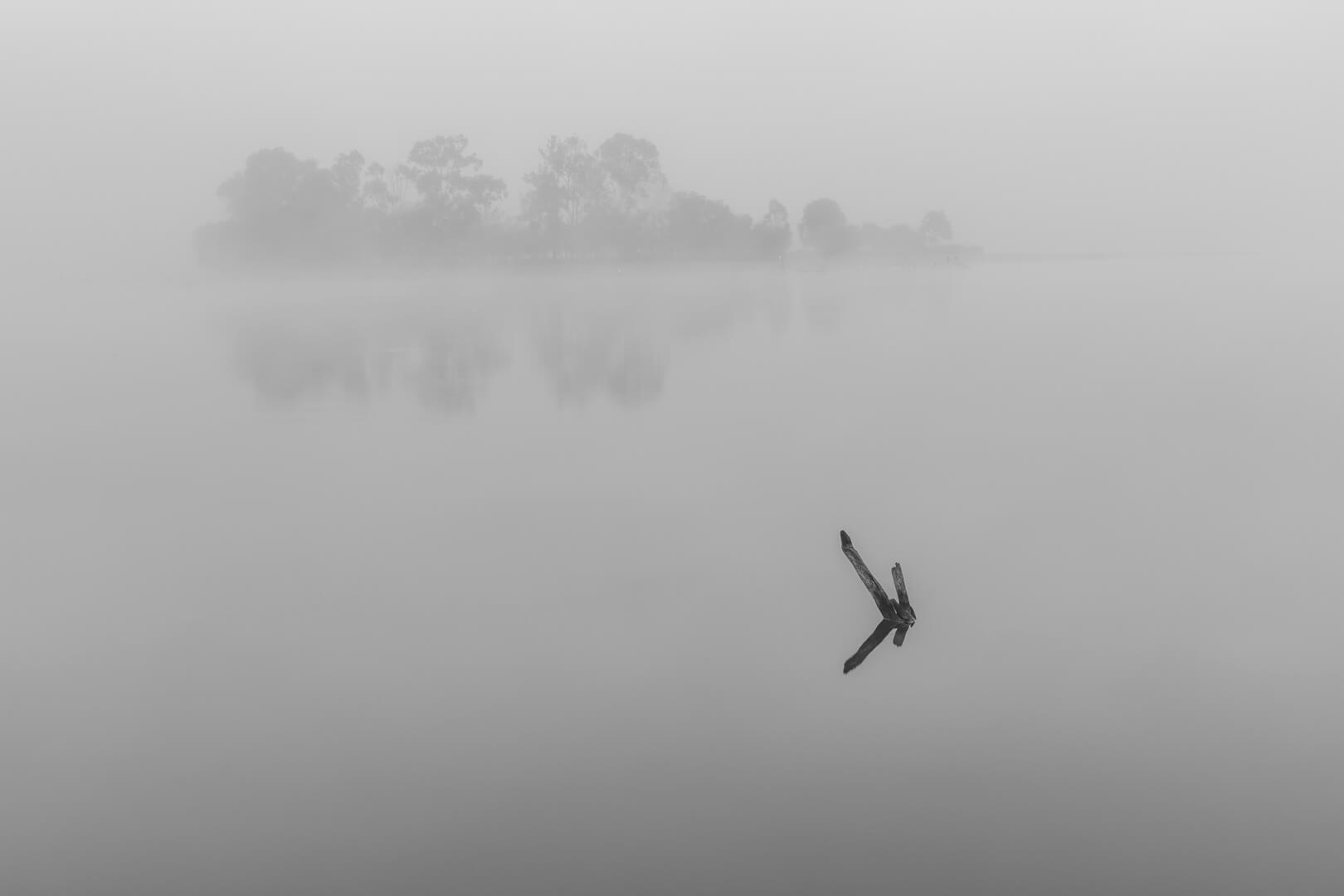 Merit For Digital Filter Of Fog By John Dalton