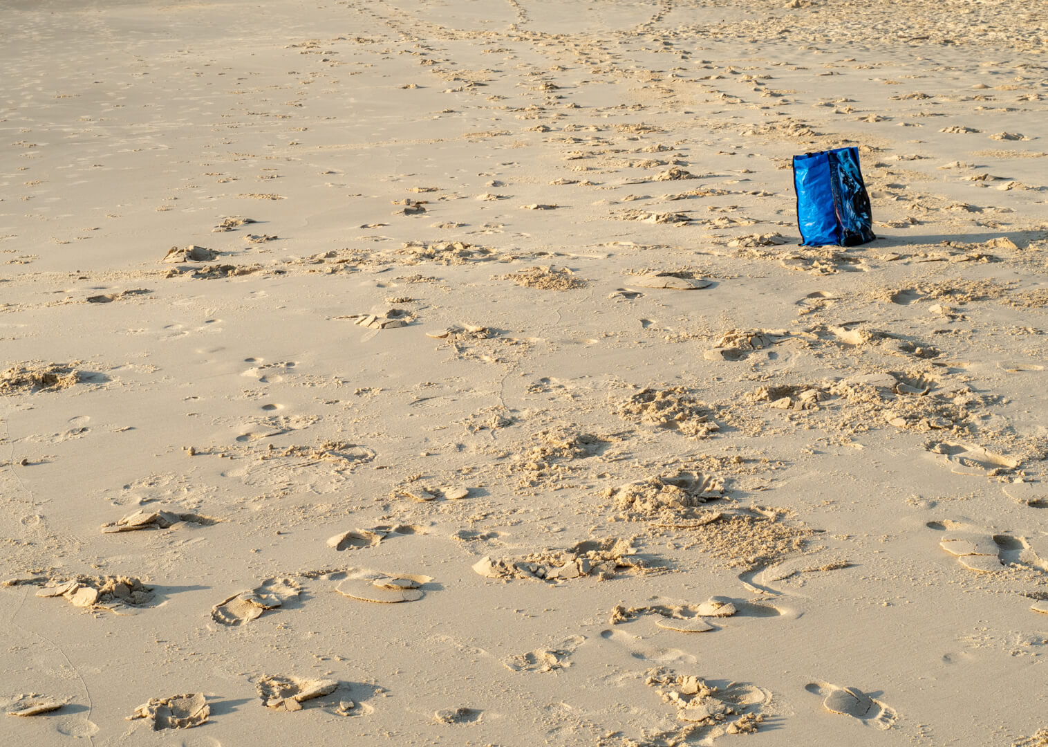 Merit For Digital Forgotten By Margareta Dewilde