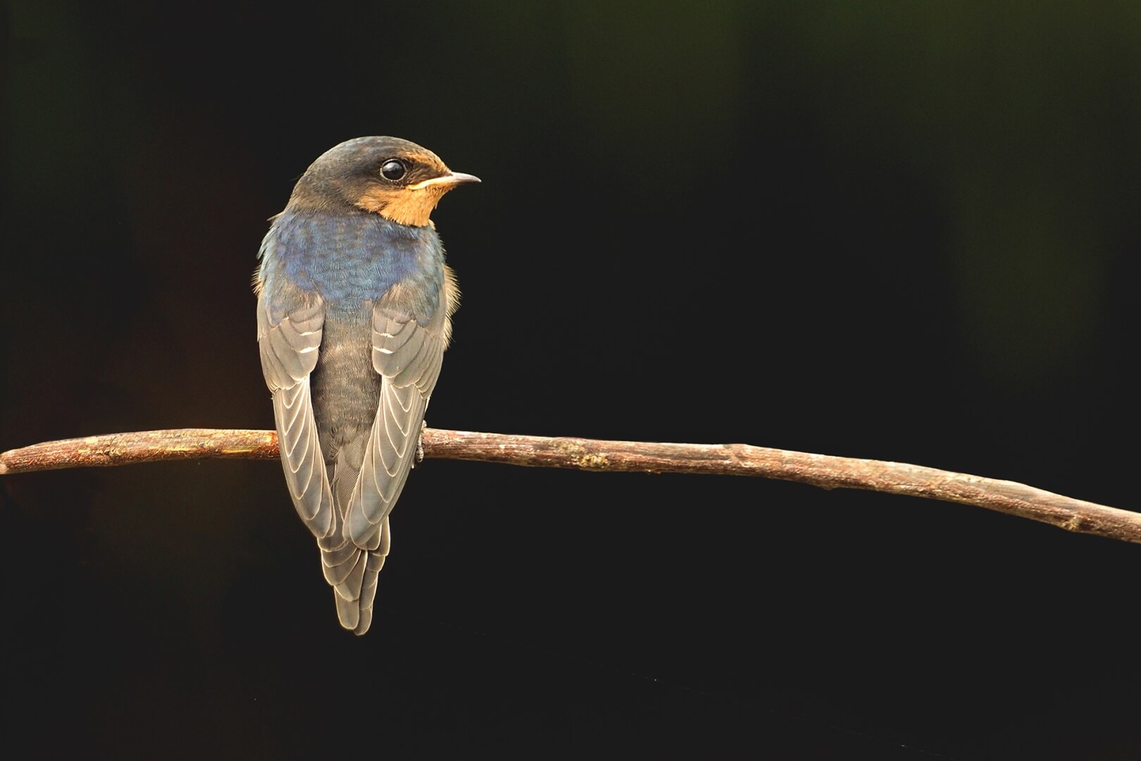 Merit For Print C65 This Is All My Space By