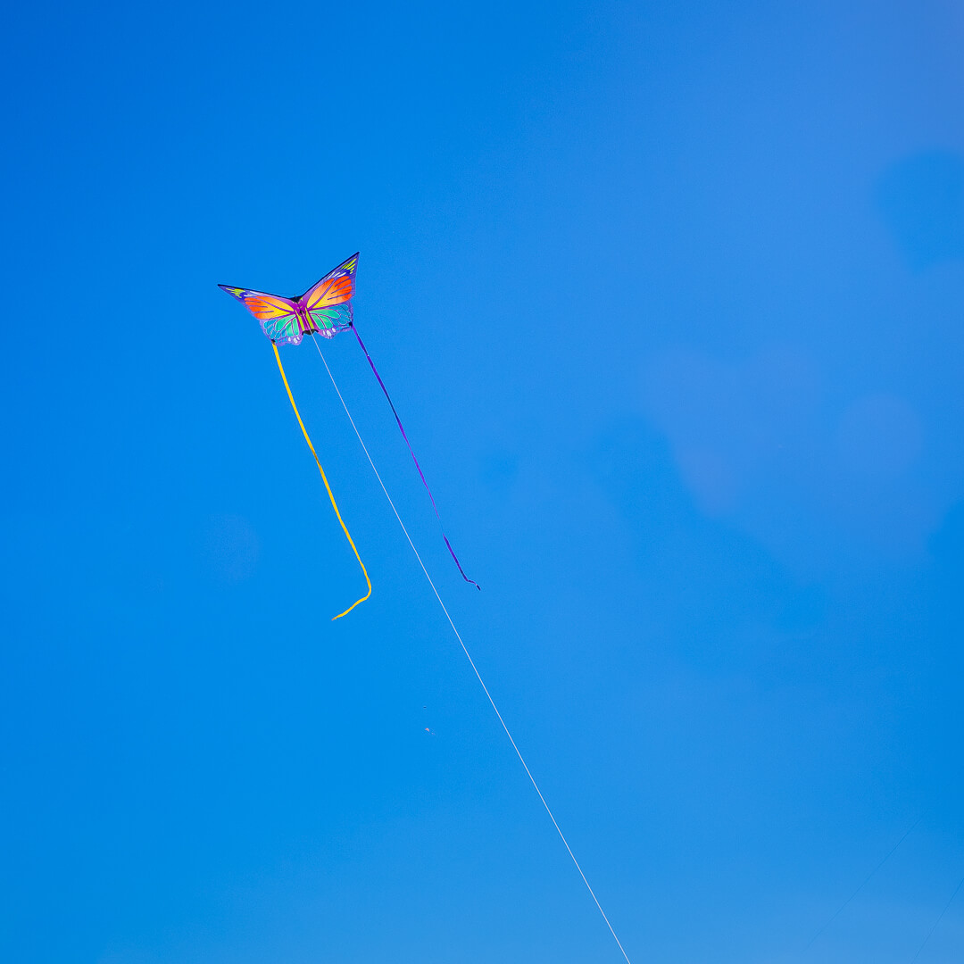 Merit For Print Tethered By