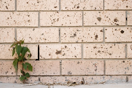 March 2026 - Dig & Print - Minimalism