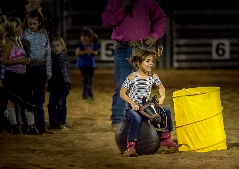 Honour For Barrell Racing Princess By Sandra Anderson