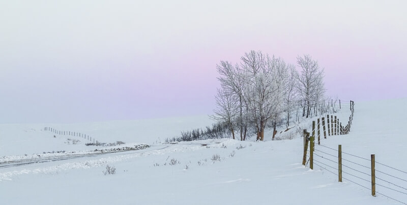 Honour For Wintery Sunset By Michelle Strudwick