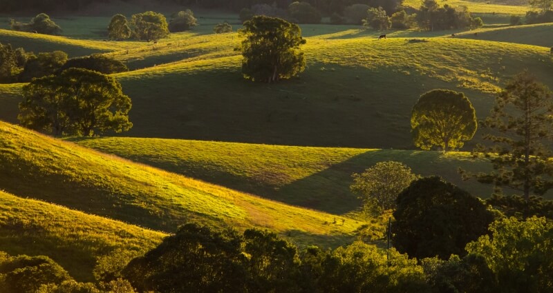 Merit For Backlit Ridges 2 By John North