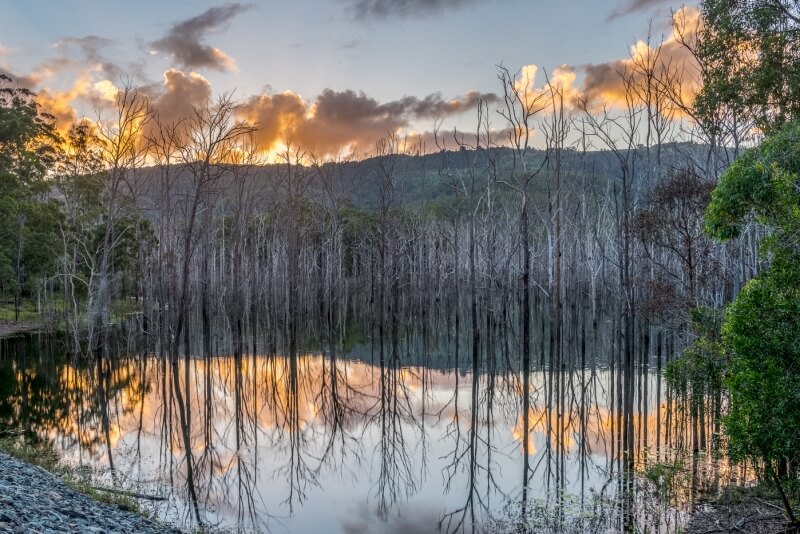 Merit For Dead Reflection By Jefferey Mott