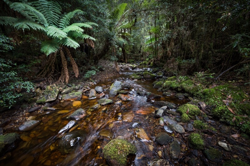 Merit For Guthries Creek By Nadia Filiaggi