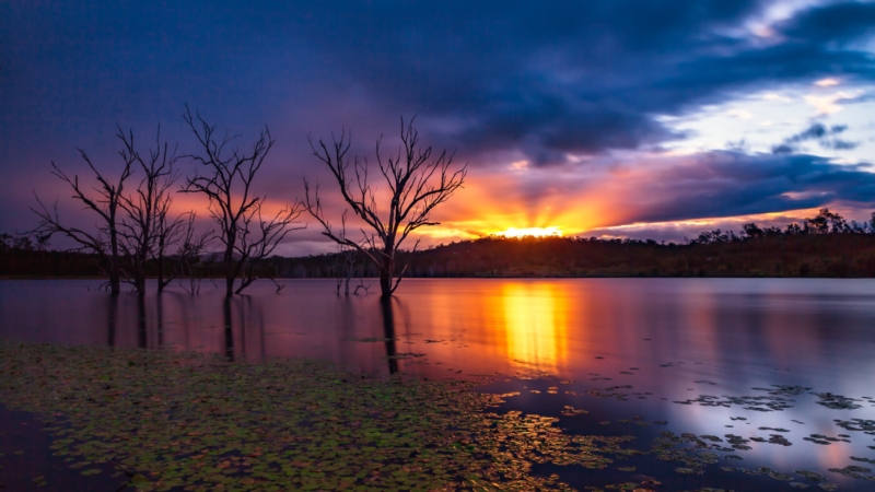 Honour For A096 At Days End By Jackie Dawson