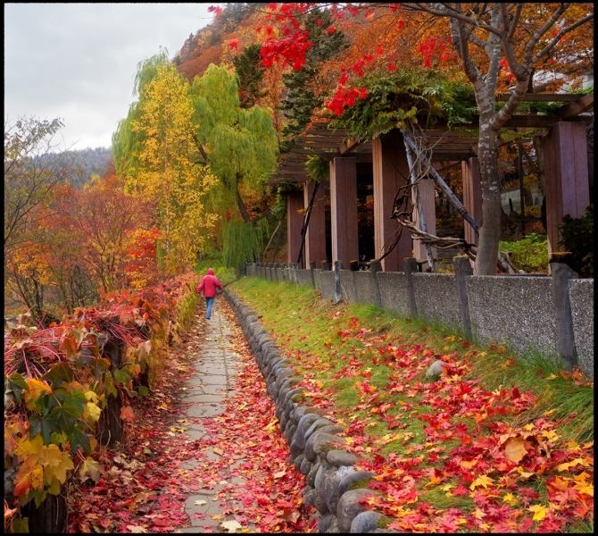 Merit For A Walk In The Park By Cheryl Zwart