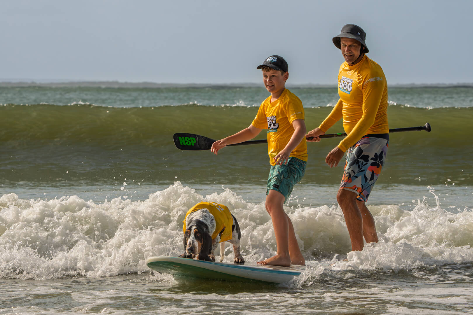 Merit For Digital Surfing Family By Rose Parr