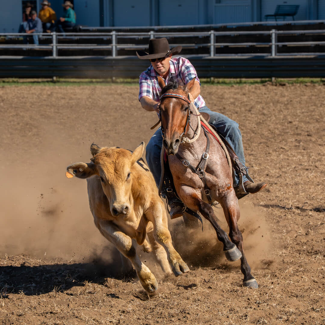 Merit For Print Flying Hooves By Rose Parr