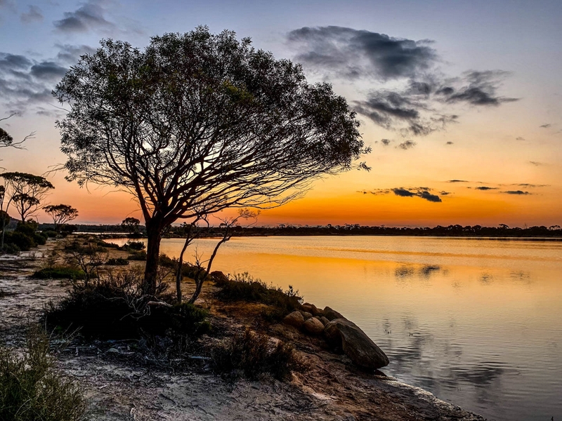 Honour For Digital Lake Magic By John Langer