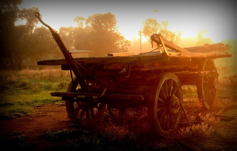 Honour For Old Cart At Peterborough SA By Caroline Hall