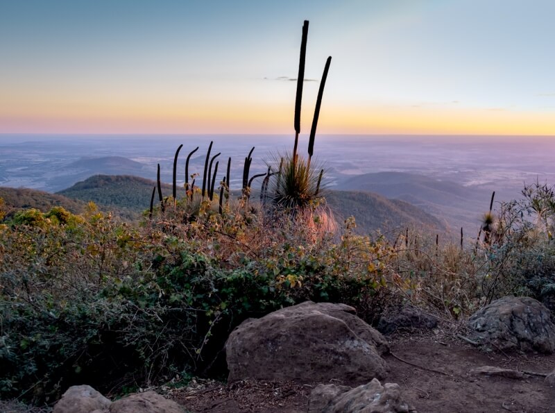 Merit For Bunya Mountains Veiw By Suzanne Edgeworth