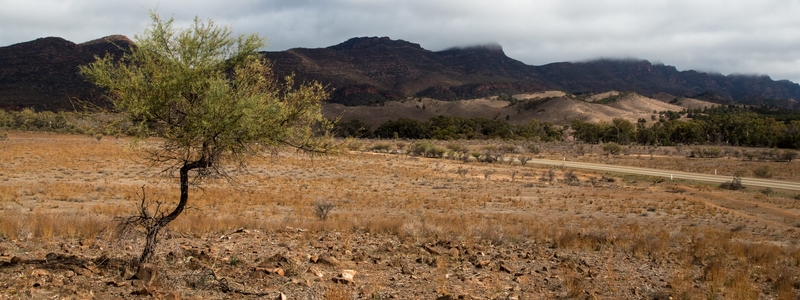 Honour For Digital Outback Highway By Kevin Dixon