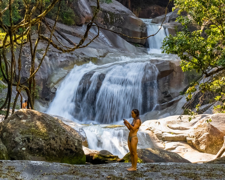 Honour For Print Social Media Vs Nature By Dorothy Harkins