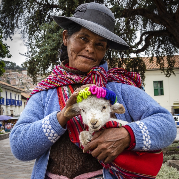 Honour For Lady On The Lamb By Chris Seen