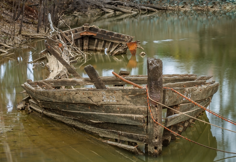 Merit For Peddle Boat Graveyard By Wayne Lewis