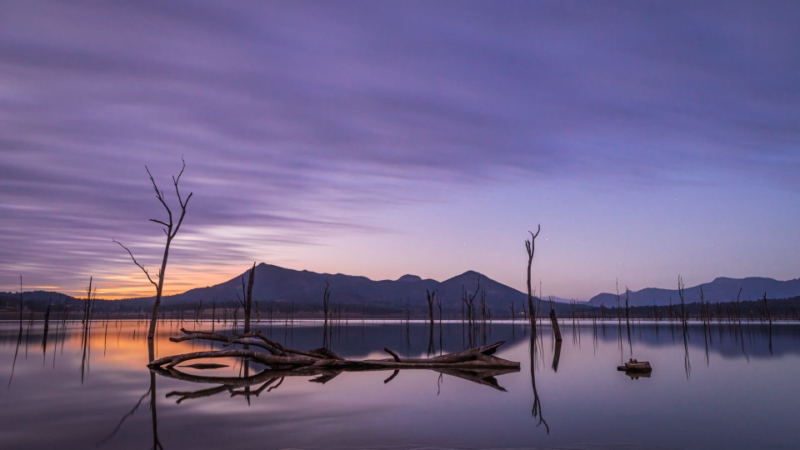 Merit For Serene Waters By Bruce McDonald