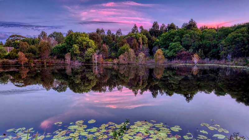 Honour For Print Pond Sunset By Bill Van Diest