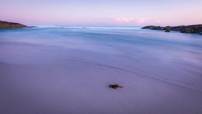 Merit For Print Disappearing Footsteps By Bruce McDonald