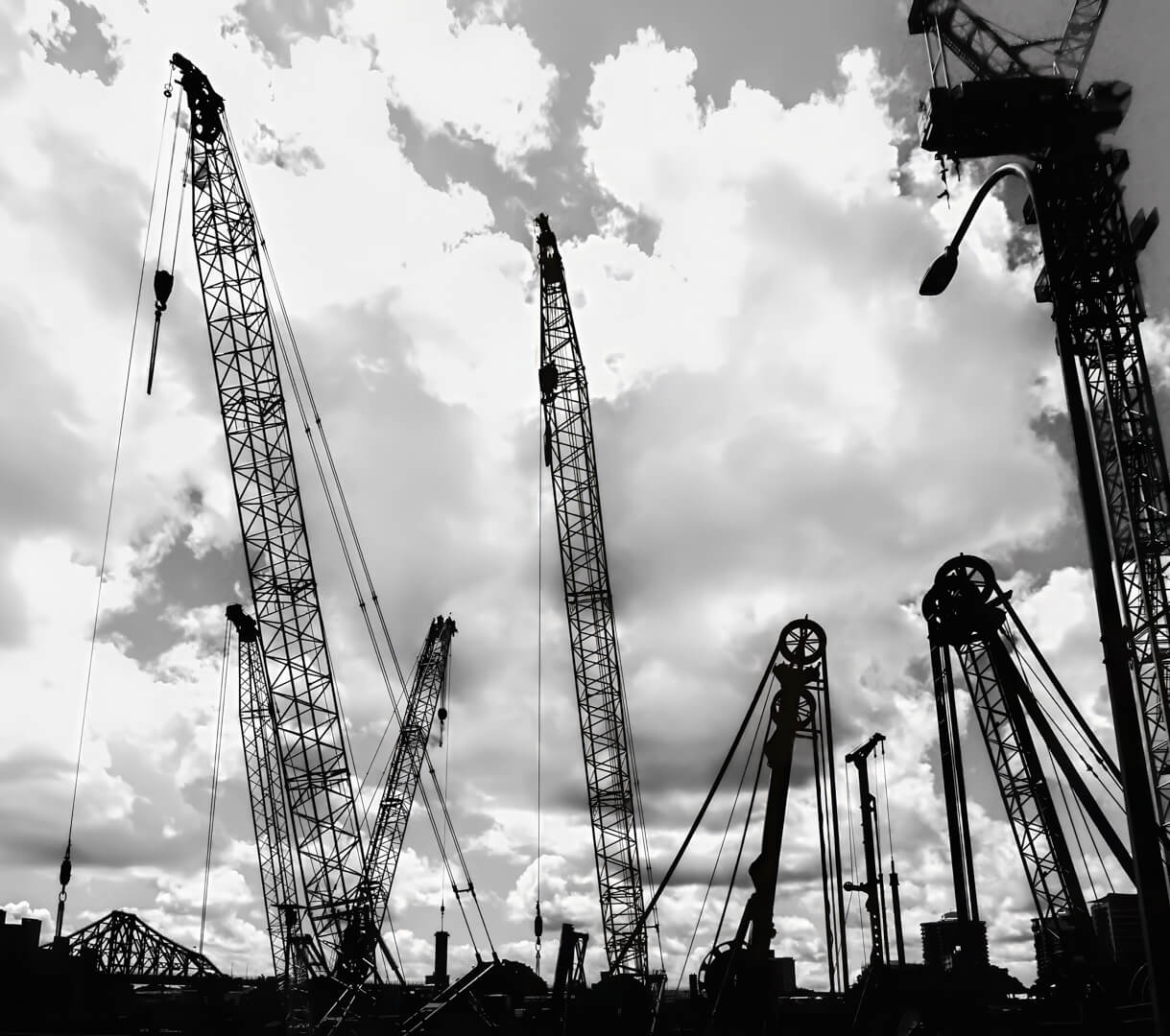 Merit For Digital Cranes By Margareta Dewilde