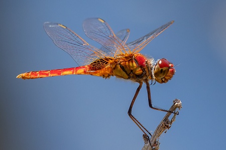 October 2025 - Dig & Print - Transport