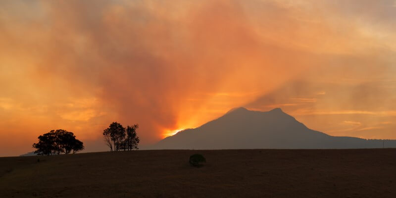 Merit For Smoky Sunset By Rodney Topor