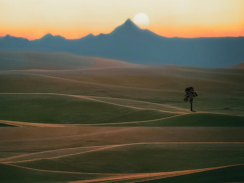 Merit For Sun Setting Over The Alps By Clive Hammond