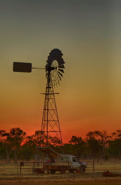 Merit For Working Till The Sun Goes Down By Janet Aldridge