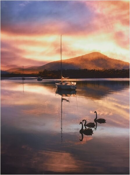 Honour For Sunrise On The Gordon River By Clive Hammond