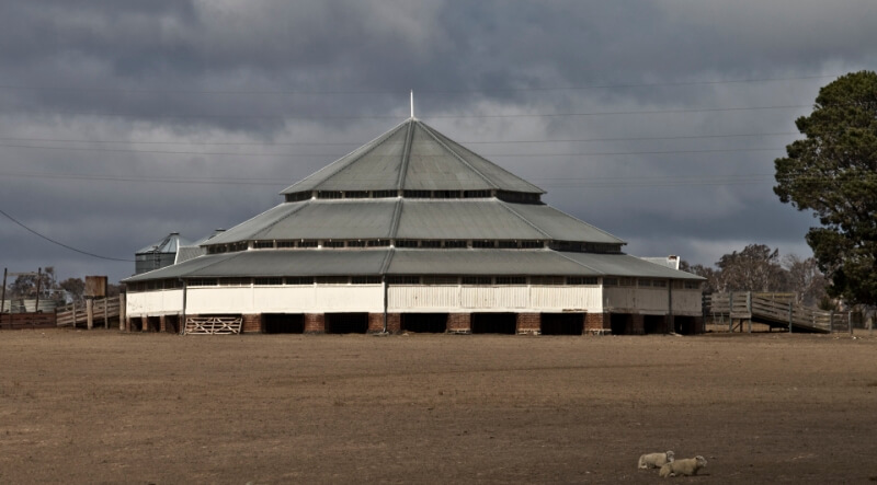 Honour For Deeargee Shearing Shed By Michael Mitchell