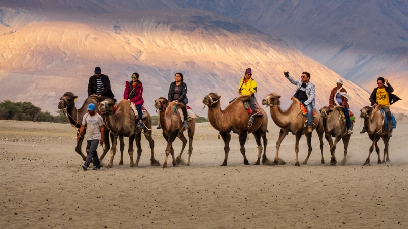 Merit For Desert Tourism By Rodney Topor