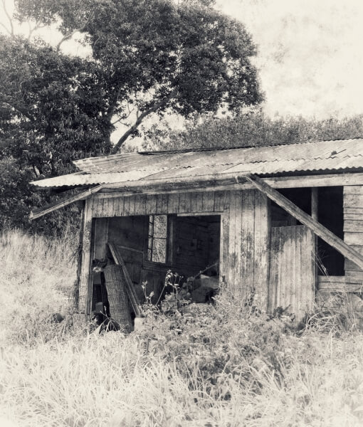 Merit For Old Shed By Denise McMillan