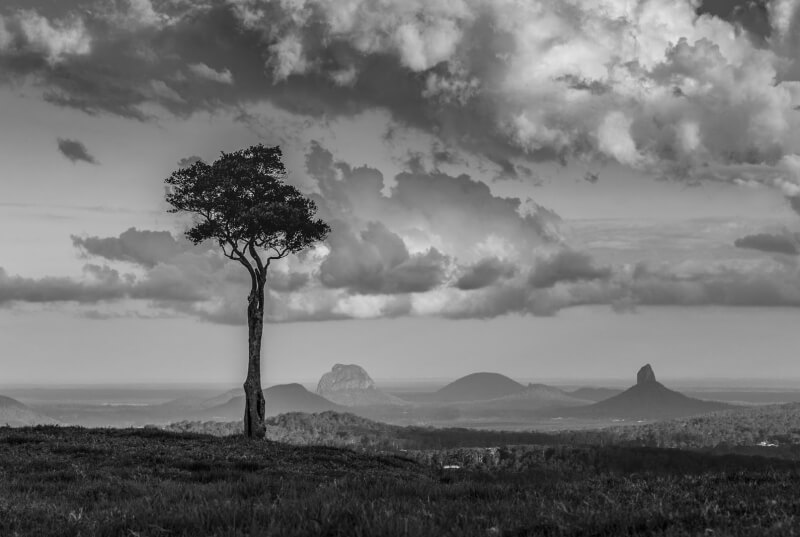 Merit For Reaching The Sky By Shuying Jiang