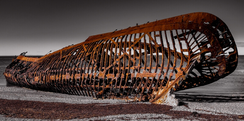 Merit For Storm Victim In Tierra Del Fuego By Paul MacKay